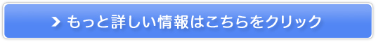 ƎsT[rXyWpChT[rXz̔TCg